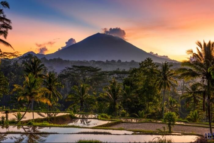 Pakej Bali
