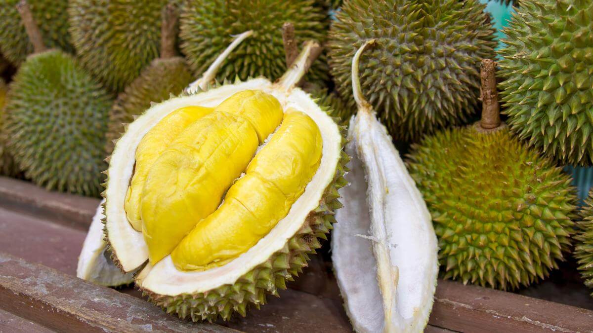 Pakej Makan Durian Musang King Pahang (SIC)
