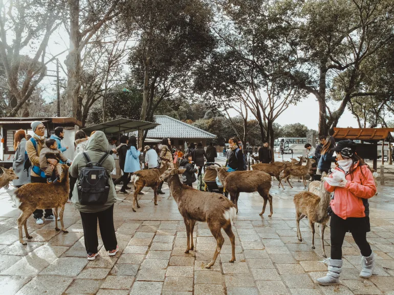 Pakej Osaka, Kyoto, Nara